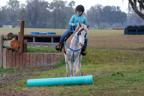 FLHorseParkRace-35