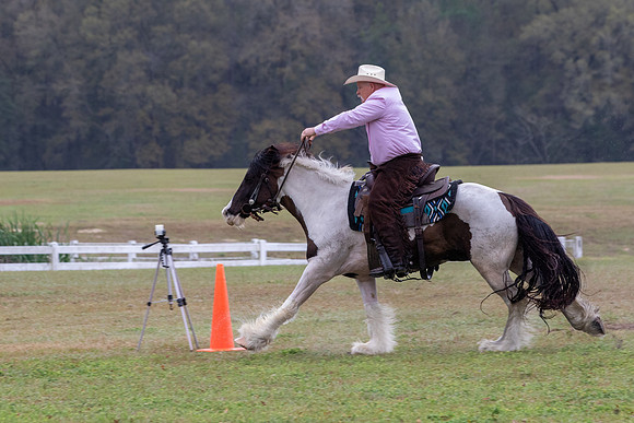 FLHorseParkRace-80