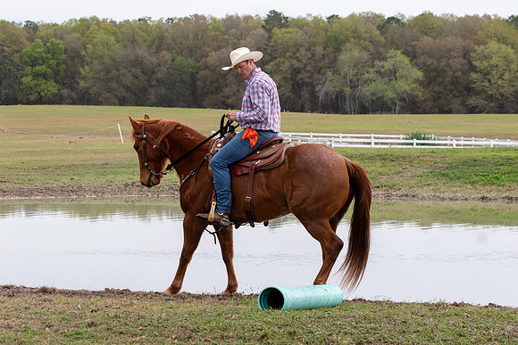 FLHorseParkRace-236