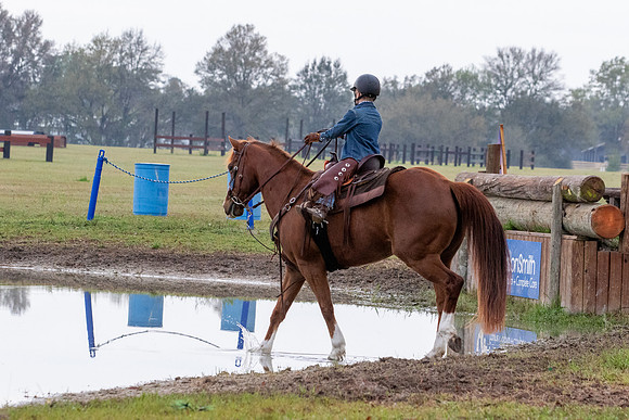 FLHorseParkRace-53