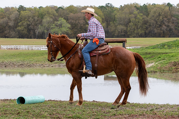 FLHorseParkRace-238