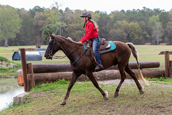 FLHorseParkRace-429