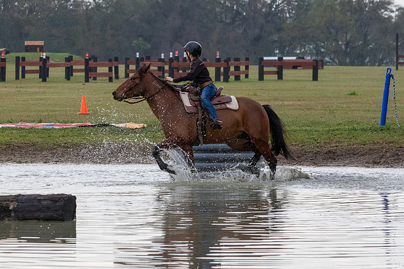 FLHorseParkRace-21