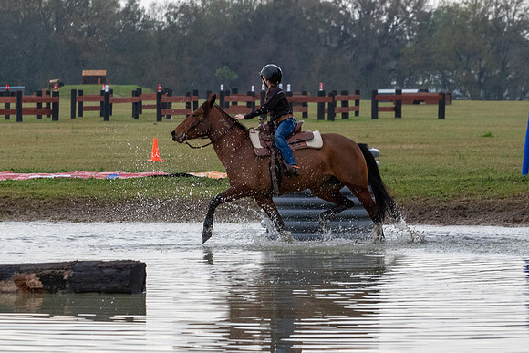 FLHorseParkRace-22