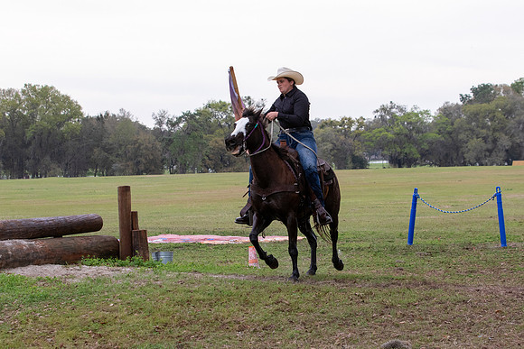 FLHorseParkRace-161