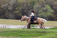 FLHorseParkRace-458