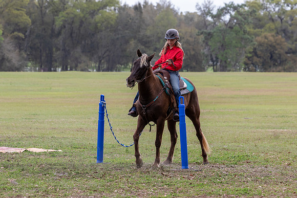 FLHorseParkRace-427