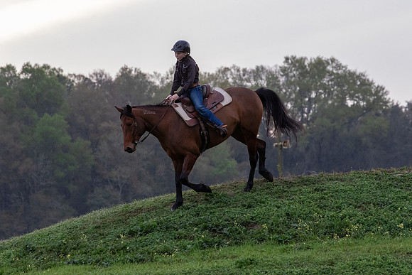 FLHorseParkRace-24
