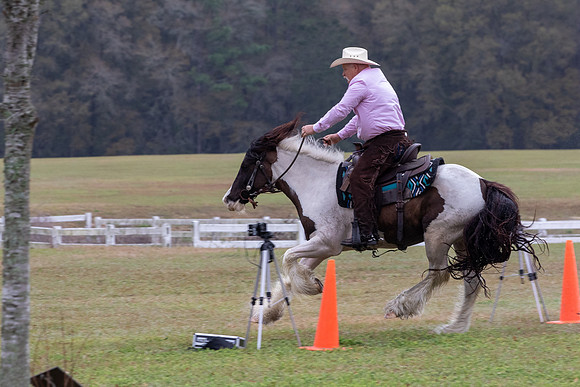 FLHorseParkRace-81