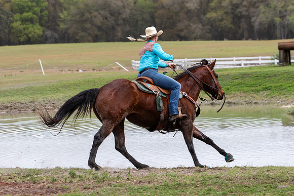 FLHorseParkRace-380