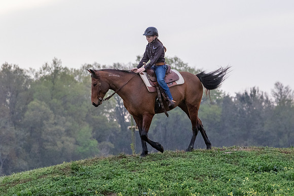 FLHorseParkRace-23