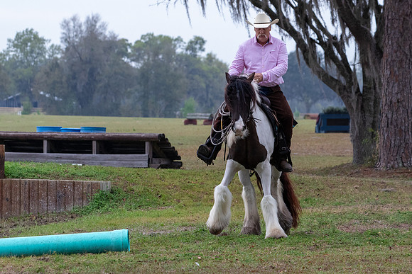 FLHorseParkRace-73