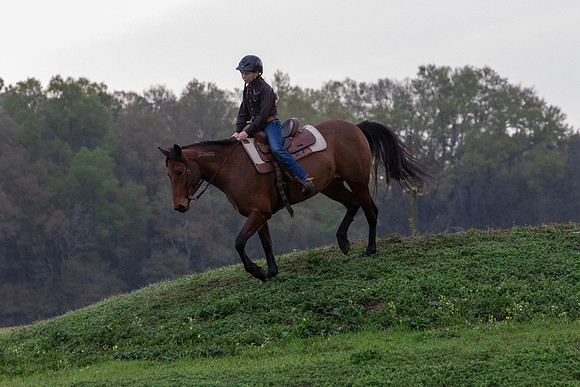 FLHorseParkRace-25