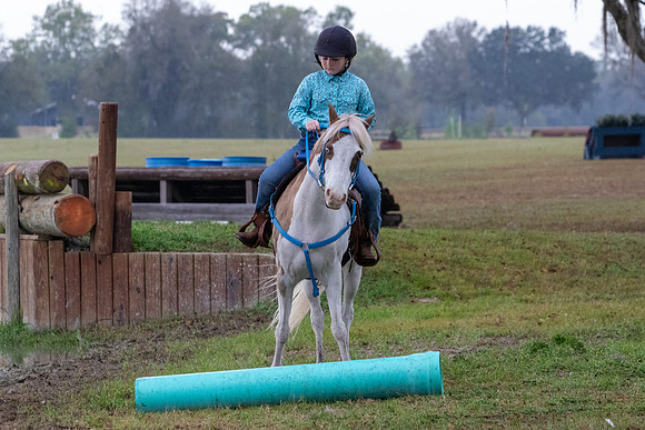 FLHorseParkRace-36