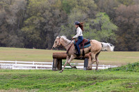 FLHorseParkRace-457