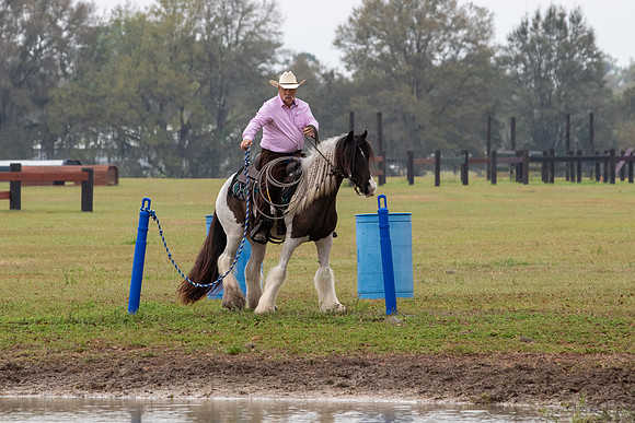 FLHorseParkRace-72