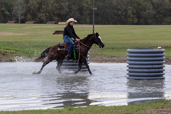 FLHorseParkRace-160