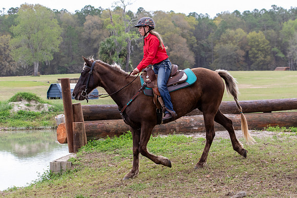 FLHorseParkRace-430