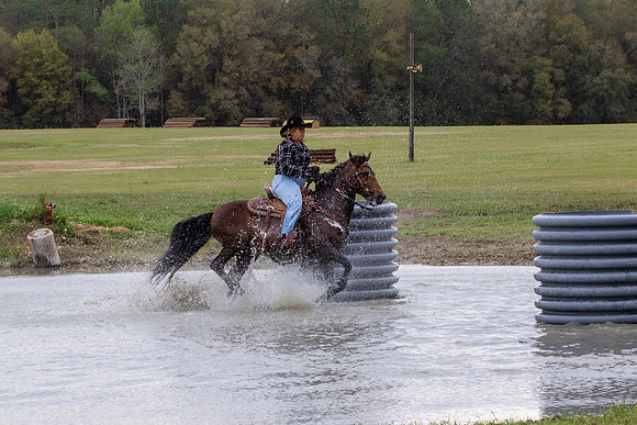 FLHorseParkRace-150