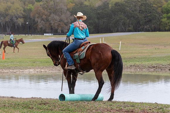 FLHorseParkRace-371