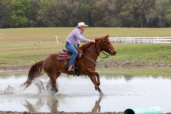 FLHorseParkRace-239