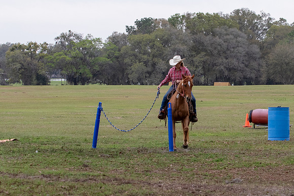 FLHorseParkRace-189