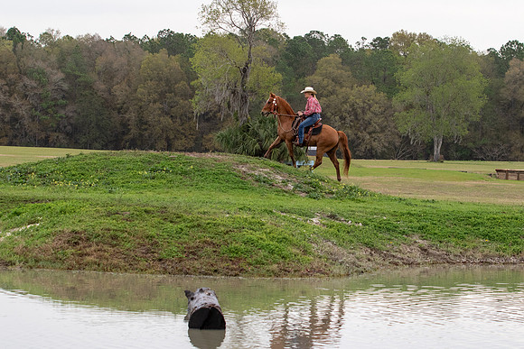 FLHorseParkRace-194