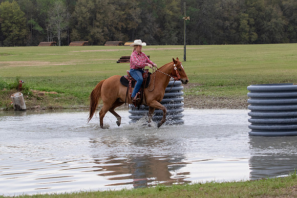 FLHorseParkRace-191