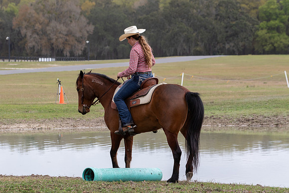 FLHorseParkRace-363