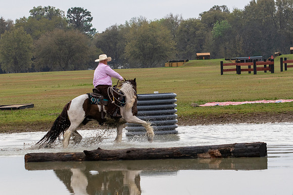 FLHorseParkRace-75