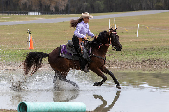 FLHorseParkRace-354