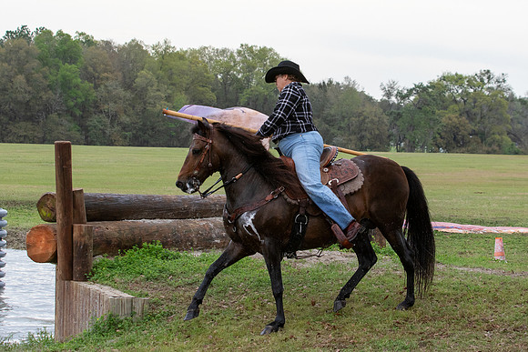 FLHorseParkRace-152