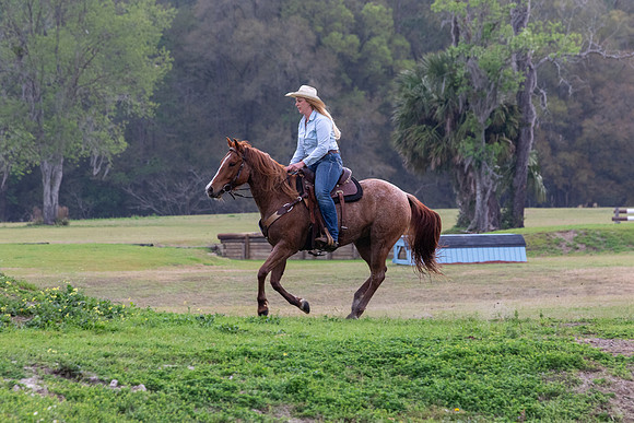 FLHorseParkRace-95