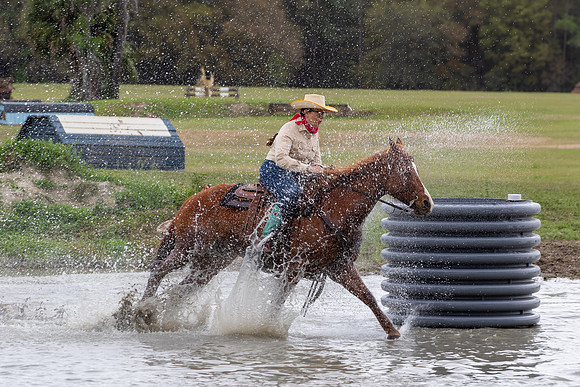 FLHorseParkRace-285