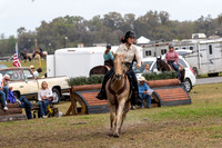 FLHorseParkRace-459