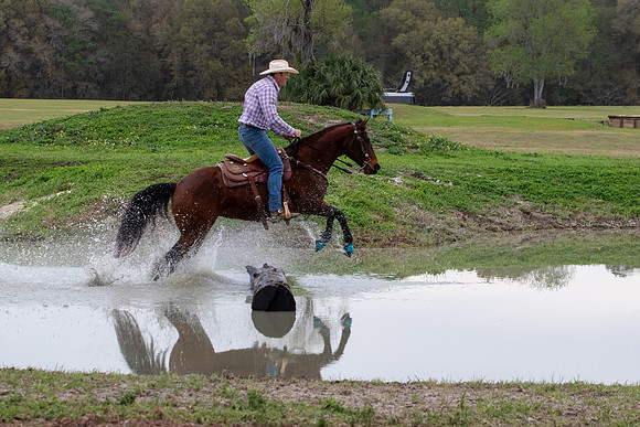FLHorseParkRace-187