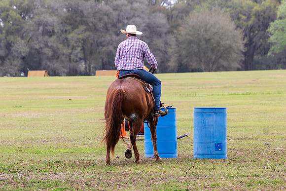 FLHorseParkRace-230