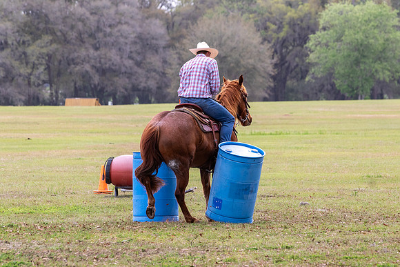 FLHorseParkRace-229