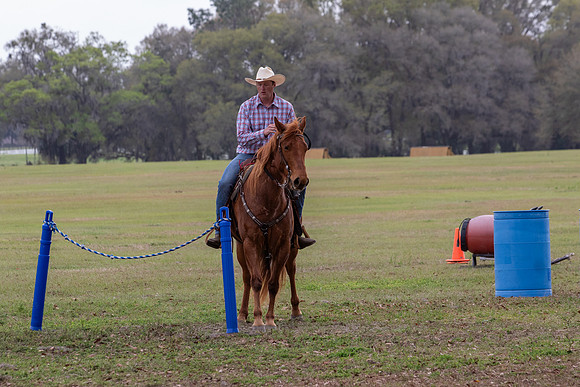 FLHorseParkRace-231