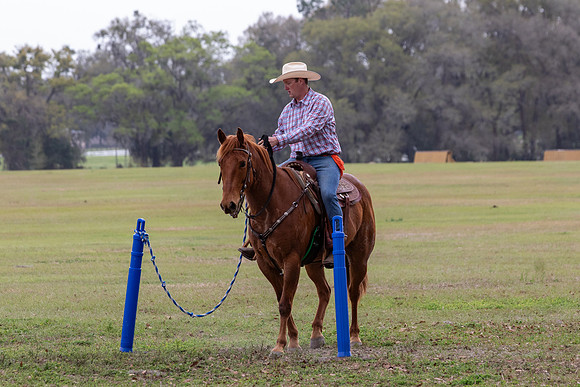 FLHorseParkRace-232