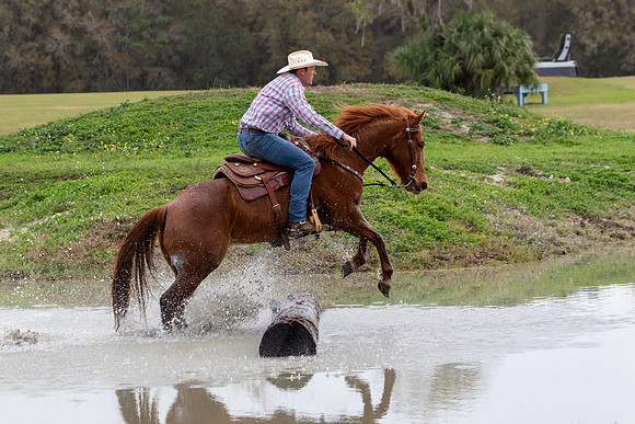 FLHorseParkRace-241