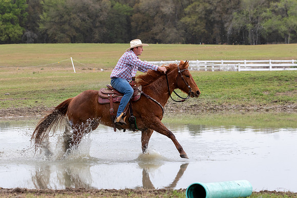 FLHorseParkRace-240