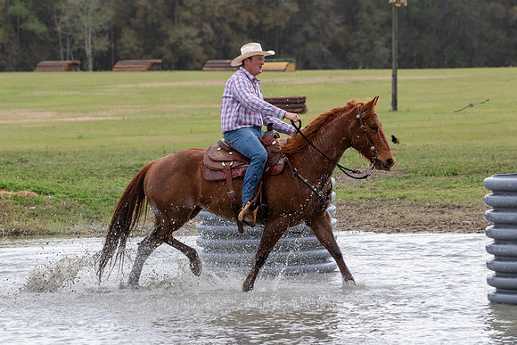 FLHorseParkRace-244