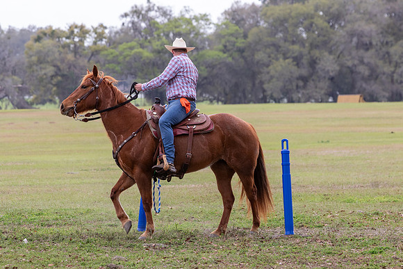 FLHorseParkRace-233