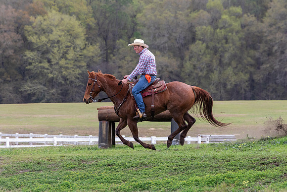 FLHorseParkRace-248