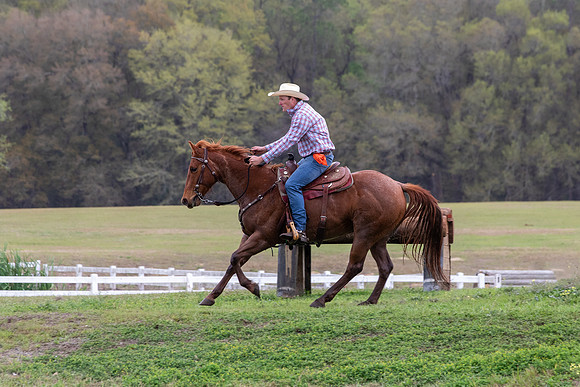 FLHorseParkRace-249