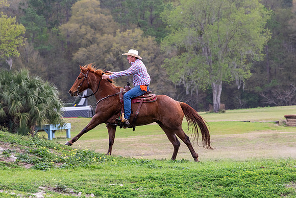 FLHorseParkRace-247