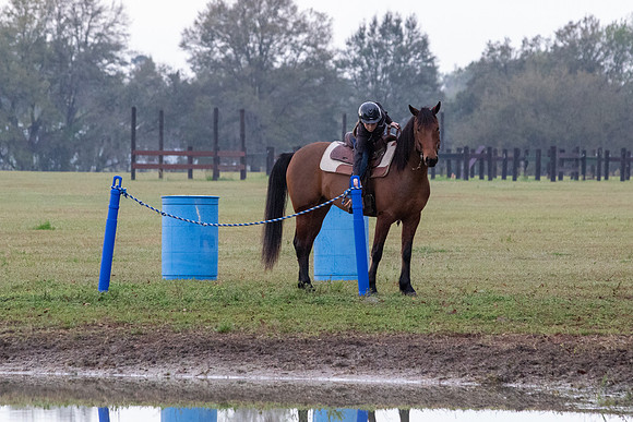 FLHorseParkRace-7