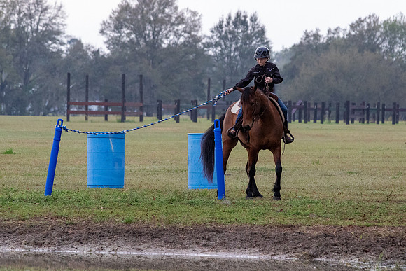 FLHorseParkRace-8