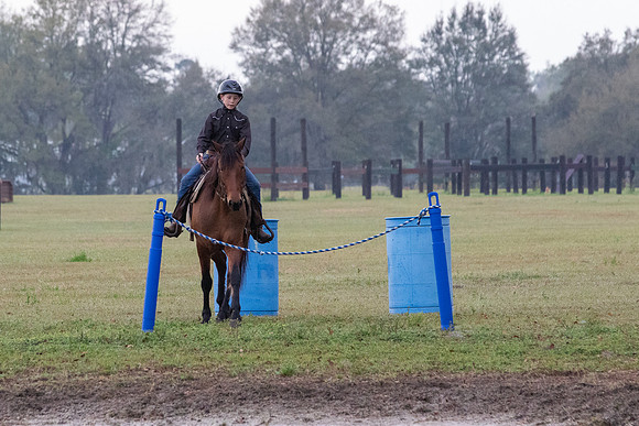 FLHorseParkRace-5